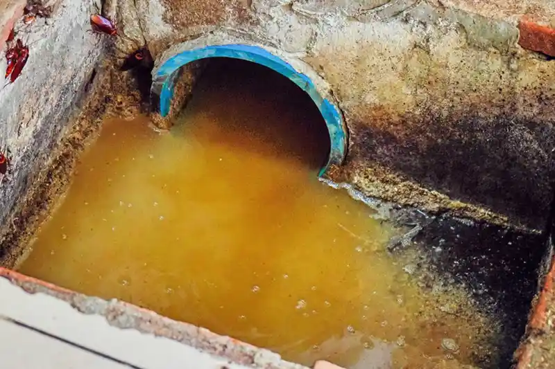 Grease trap